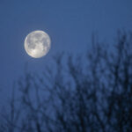 Full moon over prairie