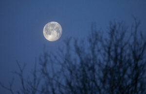 Full moon over prairie