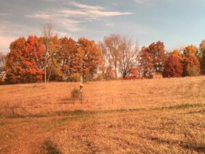 Upper prairie with late fall colors