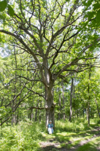 Sister Julie under large Grandmother Oak tree at CITW.